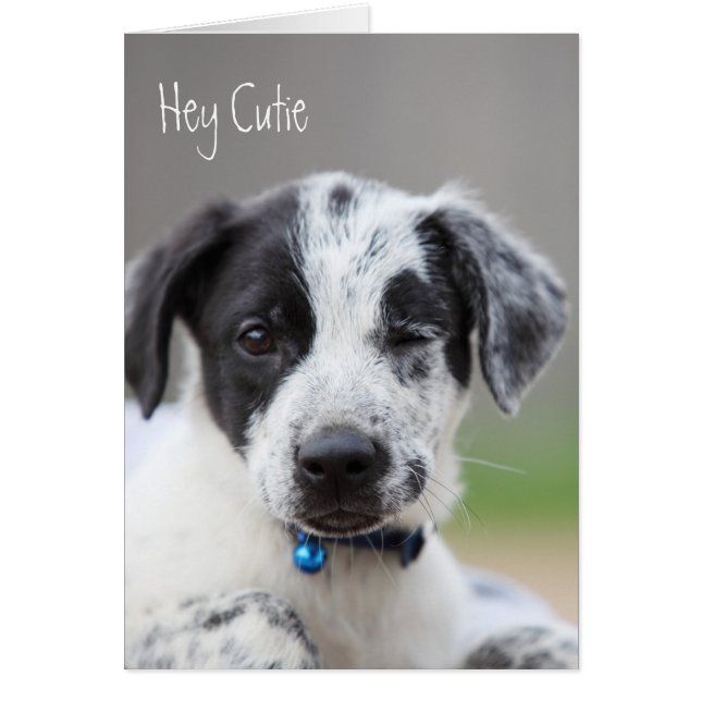 Hey Cutie (Voorkant)