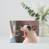 "Hey Daar" Ongeduldige Kat Groet Briefkaart (Staand voorkant)