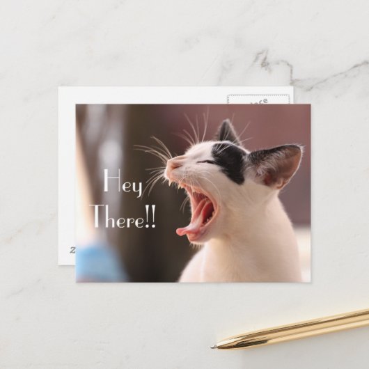 "Hey Daar" Ongeduldige Kat Groet Briefkaart (Voorkant / Achterkant in situ)