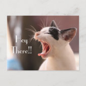 "Hey Daar" Ongeduldige Kat Groet Briefkaart (Voorkant)