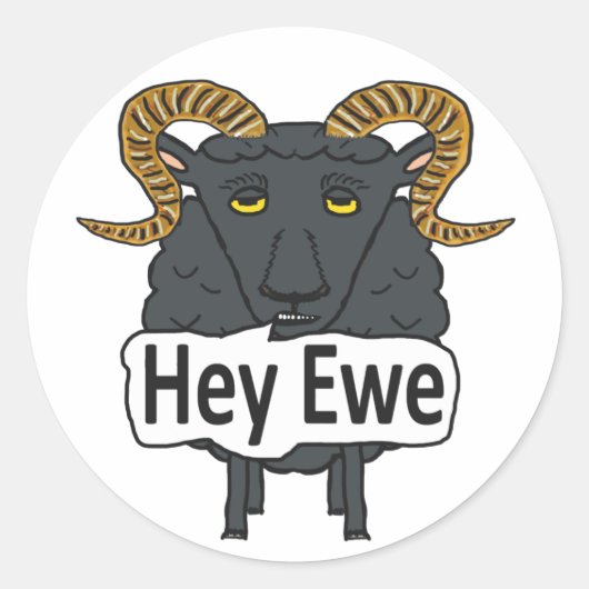 Hey Ewe Funny Sheep Pun Ronde Sticker (Voorkant)