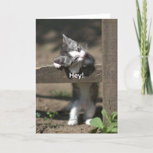 HEY-GET WELL KAART