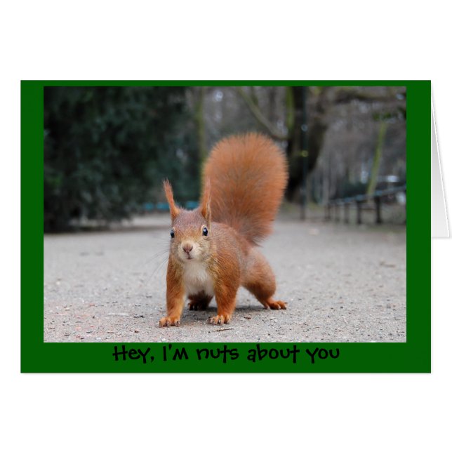 Hey, je suis fou de toi (Devant horizontal)