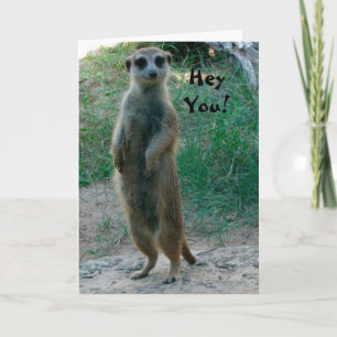 Hey jij Meerkat Verjaardag Kaart