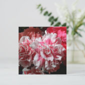 Hey jolie fille ! Carte d'anniversaire (Debout devant)