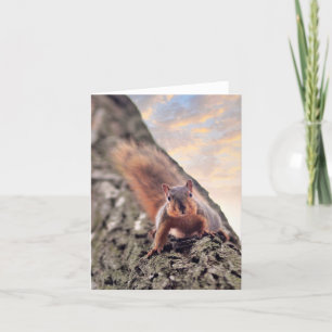 Hey, la carte de note What's Up