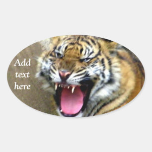 Hey_ Ovale Sticker