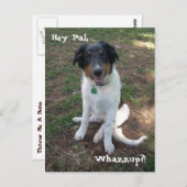 Hey, Pal, Whazzup? Briefkaart (Voorkant / Achterkant)