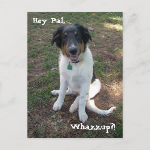Hey, Pal, Whazzup? Briefkaart
