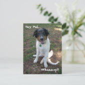 Hey Pal, Whazzup ? ! Carte postale (Debout devant)