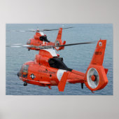 HH-65 Dolfine Poster (Voorkant)