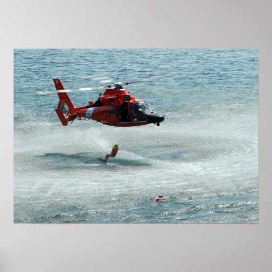 HH-65 Dolfine Poster (Voorkant)
