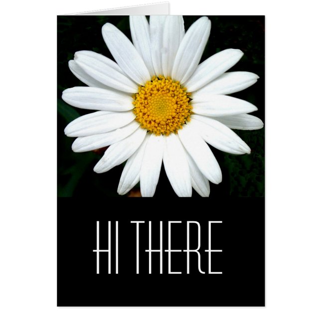 Hi (Voorkant)