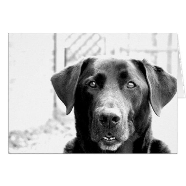 Hi (Voorkant Horizontaal)