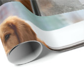 Hi Cadeaupapier (Rol Hoek)