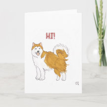 Hi - Carte Chien