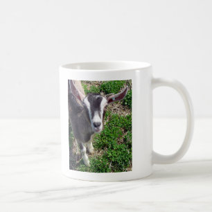 Hi Daar Goat Koffiemok