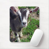 Hi Daar Goat Muismat (Met muis)