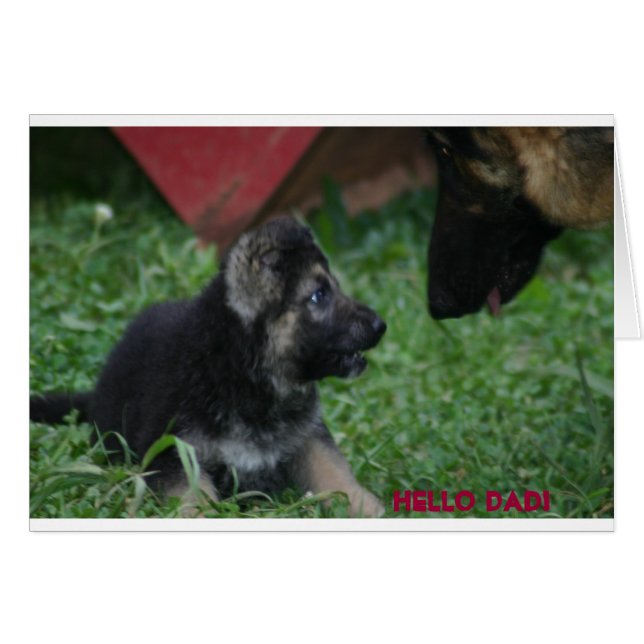 Hi DAD (Voorkant Horizontaal)