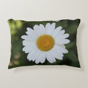 Hi-def foto van een Daisy Accent Kussen
