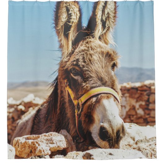 HI DONKEY DOUCHEGORDIJN (Voorkant)