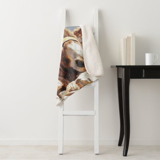 HI DONKEY SHERPA DEKEN (In situ)