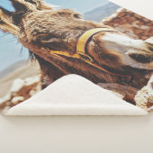 HI DONKEY SHERPA DEKEN (3/4)