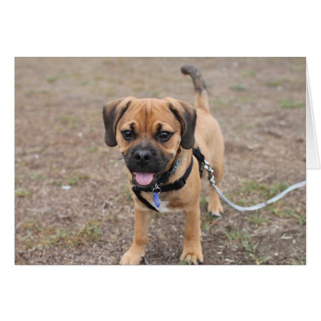 Hi Er (Voorkant Horizontaal)