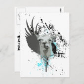 hi-fi llama. briefkaart (Voorkant / Achterkant)