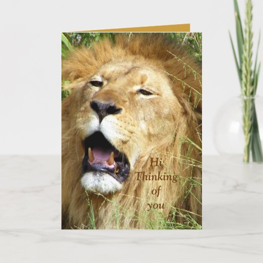 Hi,Hallo_ Kaart (Voorkant)