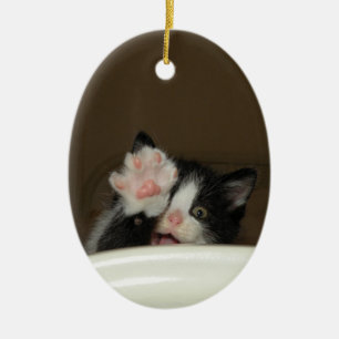 "Hi Kitten" Ornament