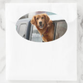 Hi Ovale Sticker (Tas)