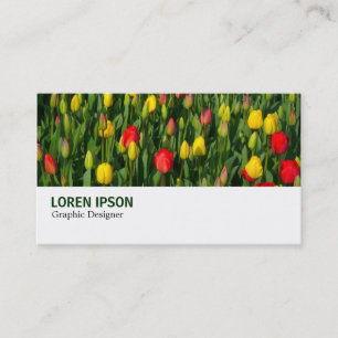 Hi-Phi - 003 - Tulpen Visitekaartje