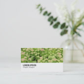 Hi-Phi - 0311 - Sedum (Herfstvreugde) Visitekaartje (Staand voorkant)