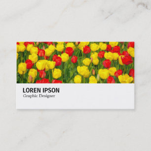 Hi-Phi - 037 - Rode en gele Tulpen Visitekaartje
