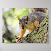 Hi Poster (Voorkant)