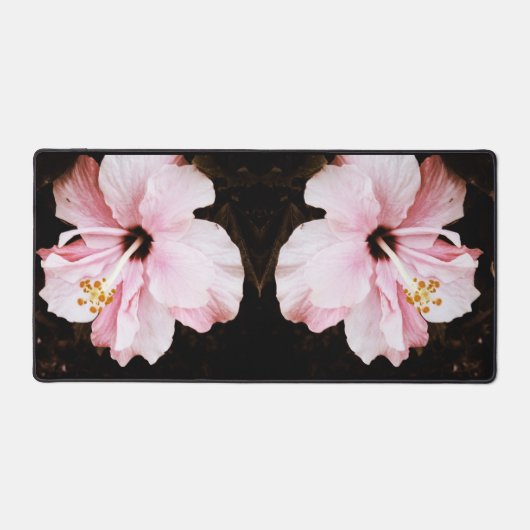 hibiscus (Recto)