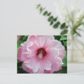 hibiscus 21 briefkaart (Staand voorkant)