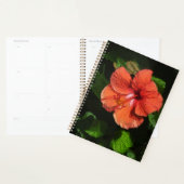Hibiscus 424 fleur rouge tropicale (Devant avec enveloppe)