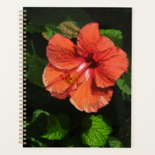 Hibiscus 424 fleur rouge tropicale