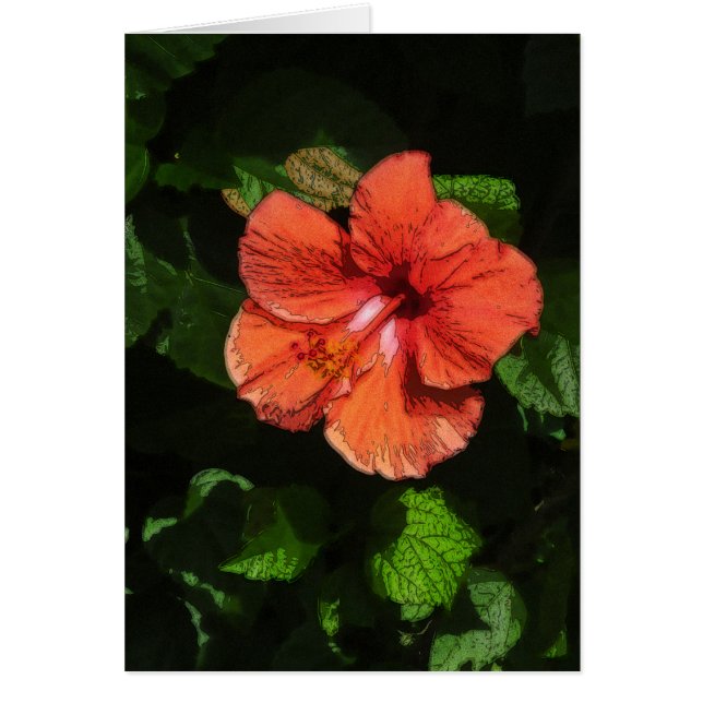 Hibiscus 424 kaart (Voorkant)