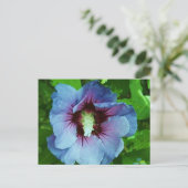 hibiscus 4 briefkaart (Staand voorkant)
