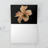 Hibiscus #4 kaart (Binnen)