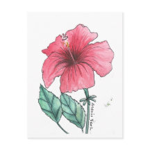 Hibiscus ansichtkaart