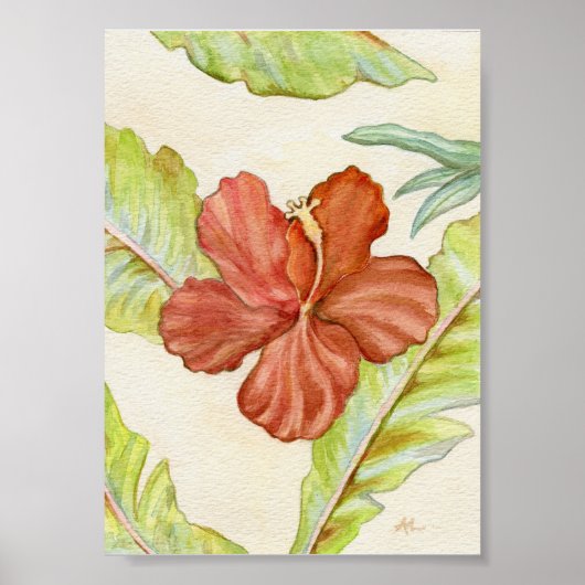 Hibiscus Art print 5x7 (Voorkant)