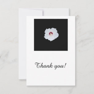 hibiscus blanc sur carte de remerciements vierge