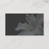 Hibiscus Blanc Sur Carte de visite Floral Noir (Dos)
