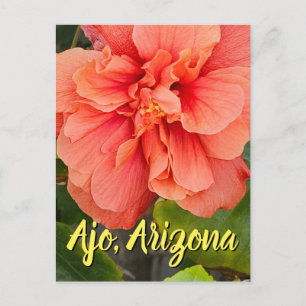 Hibiscus Bloei Dubbele Perzik, Arizona Ansichtkaar Briefkaart