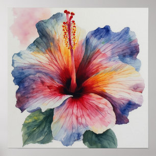 Hibiscus Bloei Poster