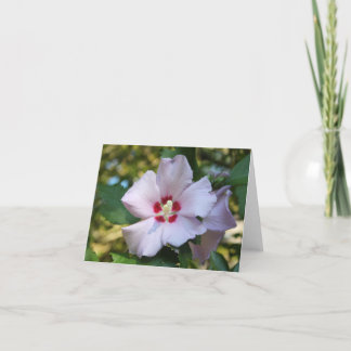 Hibiscus bloem briefkaart